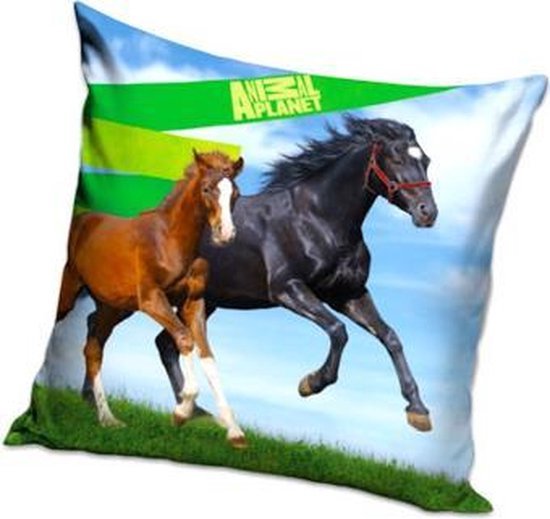 Animal Planet Paarden 40 x 40 kussensloop