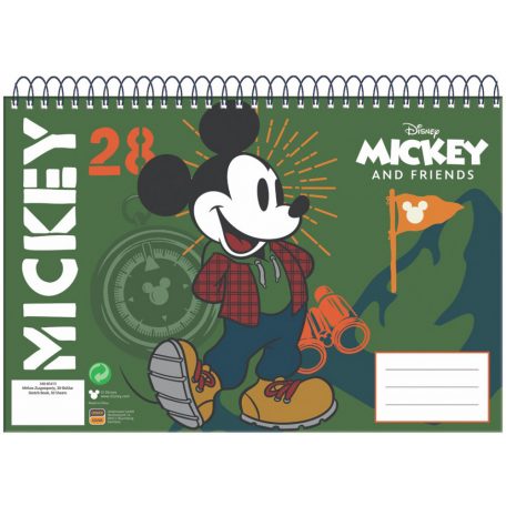 Disney Mickey